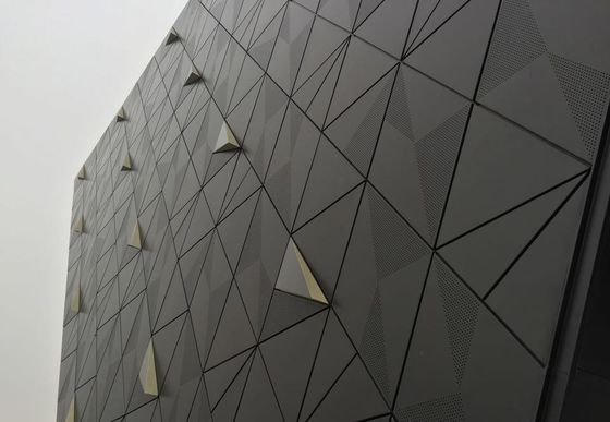 Perforasyon Fasad Ağı için Genişletilmiş Metal Ağı Kaplama Metal Ağı Yaprak Genişletilmiş Ağı Metal Perde Fasad Paneli